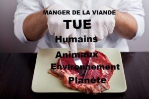 Meat kills human animal